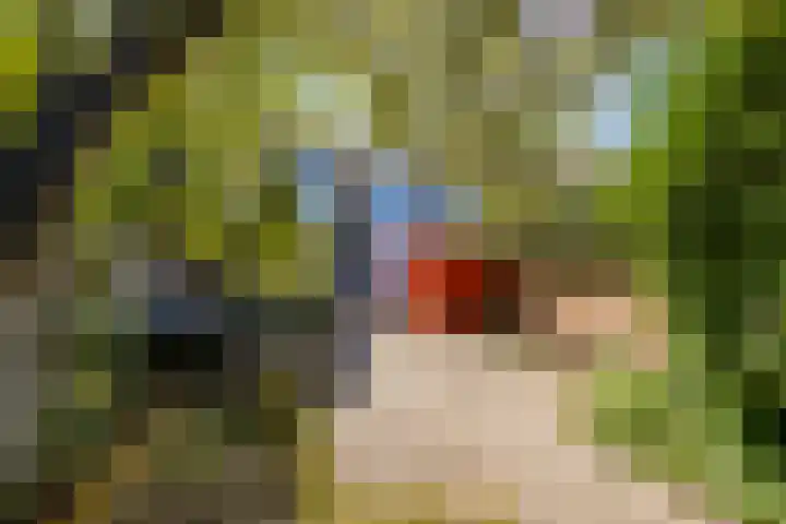 Van Ketwich Verschuurlaan 275 Groningen thumbnail 44