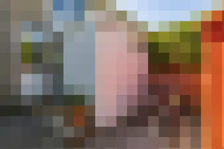 Van Ketwich Verschuurlaan 275 Groningen thumbnail 45