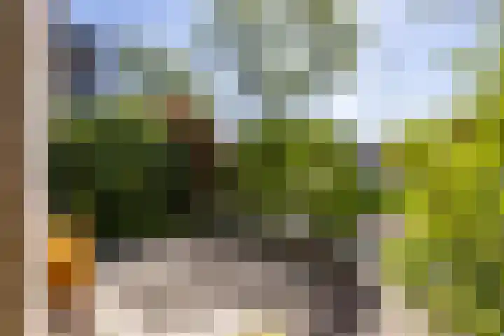 Van Ketwich Verschuurlaan 275 Groningen thumbnail 8