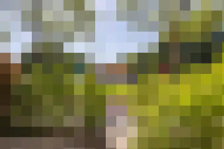 Van Ketwich Verschuurlaan 275 Groningen thumbnail 9