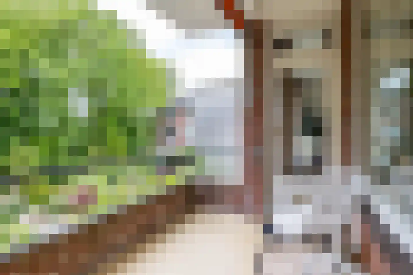 Van Ketwich Verschuurlaan 44 Groningen thumbnail 25