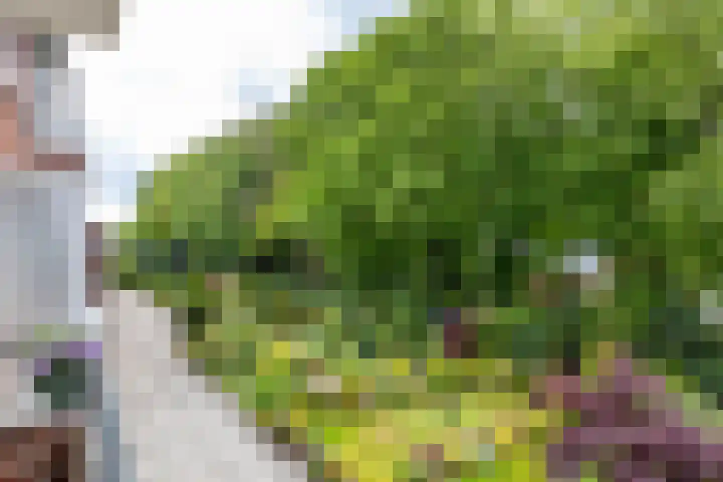 Van Ketwich Verschuurlaan 44 Groningen thumbnail 26
