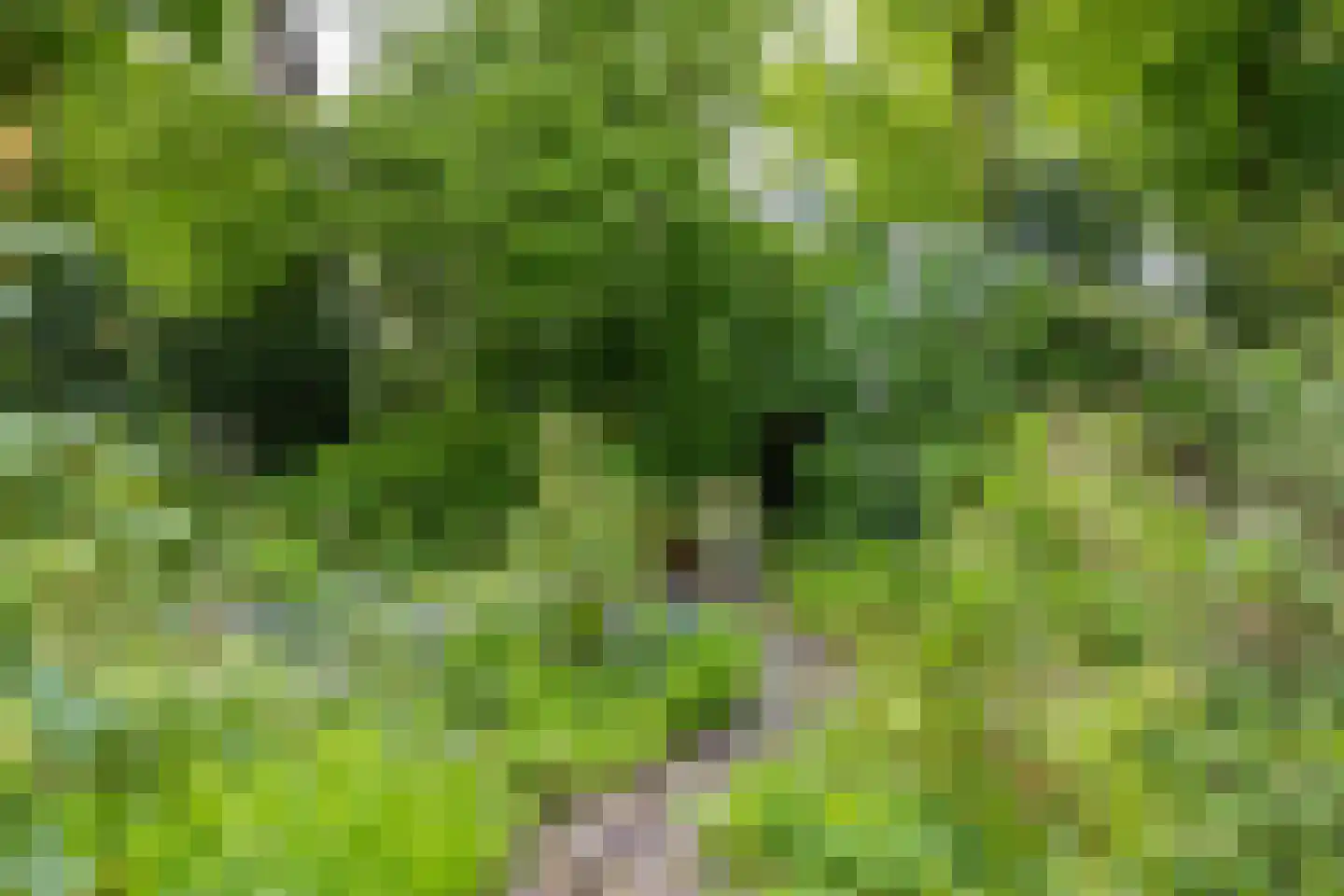 Van Ketwich Verschuurlaan 44 Groningen thumbnail 52