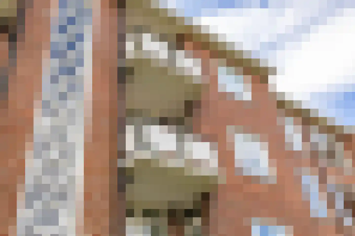 Van Ketwich Verschuurlaan 44 Groningen thumbnail 6