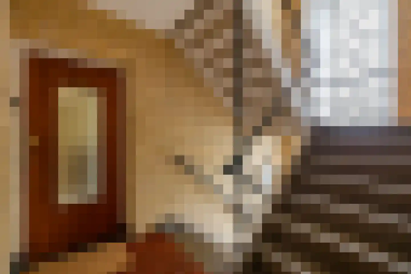 Van Ketwich Verschuurlaan 44 Groningen thumbnail 9