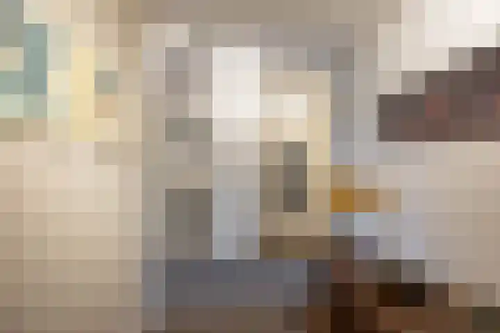 Van Ketwich Verschuurlaan 54 Groningen thumbnail 12