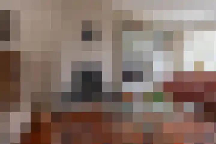 Van Ketwich Verschuurlaan 54 Groningen thumbnail 29