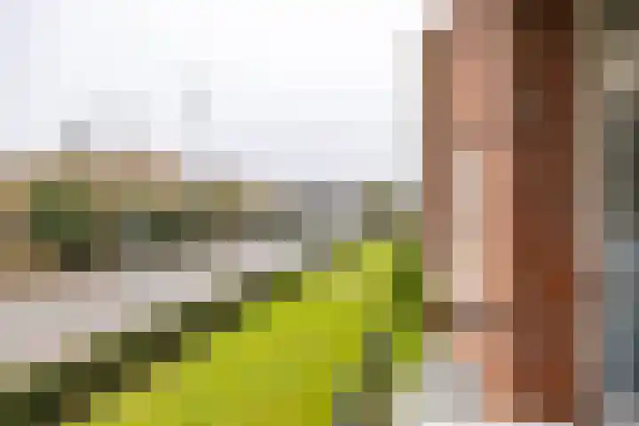 Van Ketwich Verschuurlaan 54 Groningen thumbnail 31