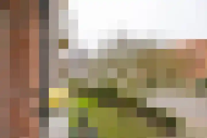 Van Ketwich Verschuurlaan 54 Groningen thumbnail 32