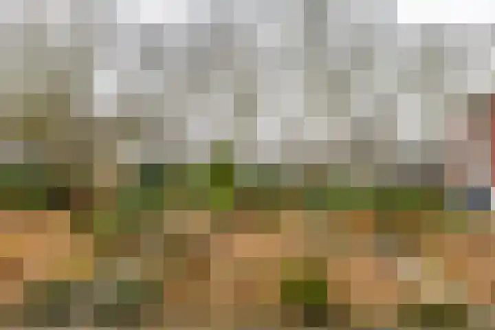 Van Ketwich Verschuurlaan 54 Groningen thumbnail 37