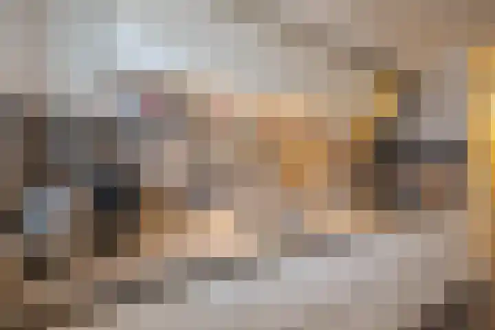 Van Ketwich Verschuurlaan 54 Groningen thumbnail 5