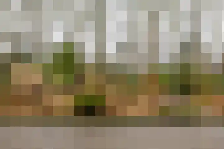 Van Ketwich Verschuurlaan 54 Groningen thumbnail 51