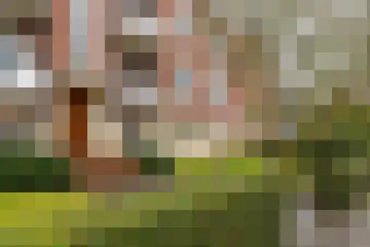 Van Ketwich Verschuurlaan 54 Groningen thumbnail 8