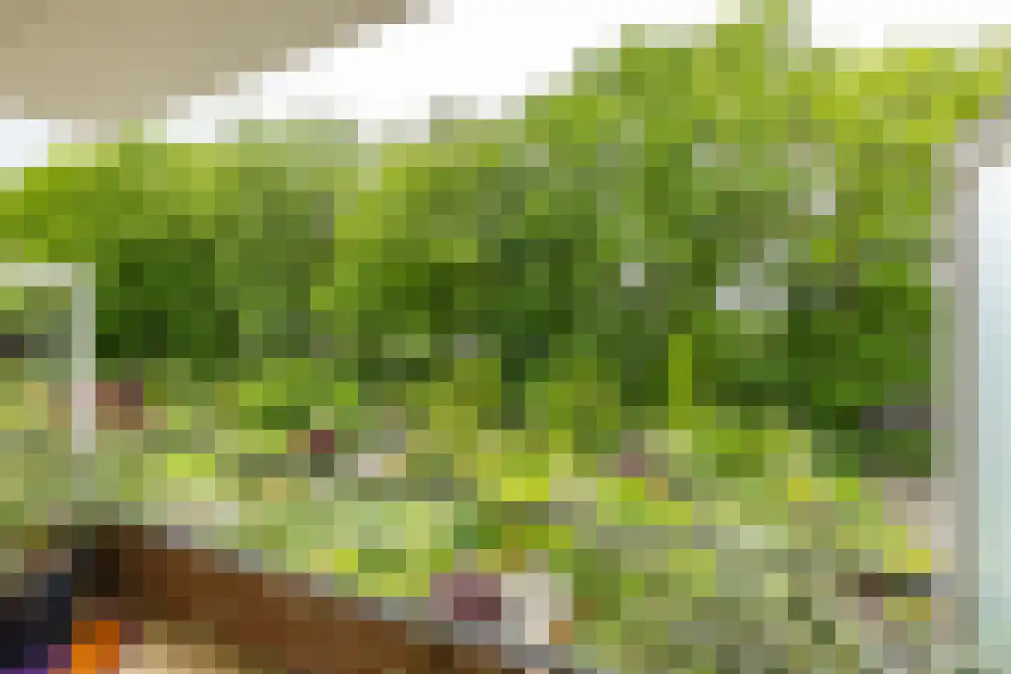 Van Ketwich Verschuurlaan 56 Groningen thumbnail 23