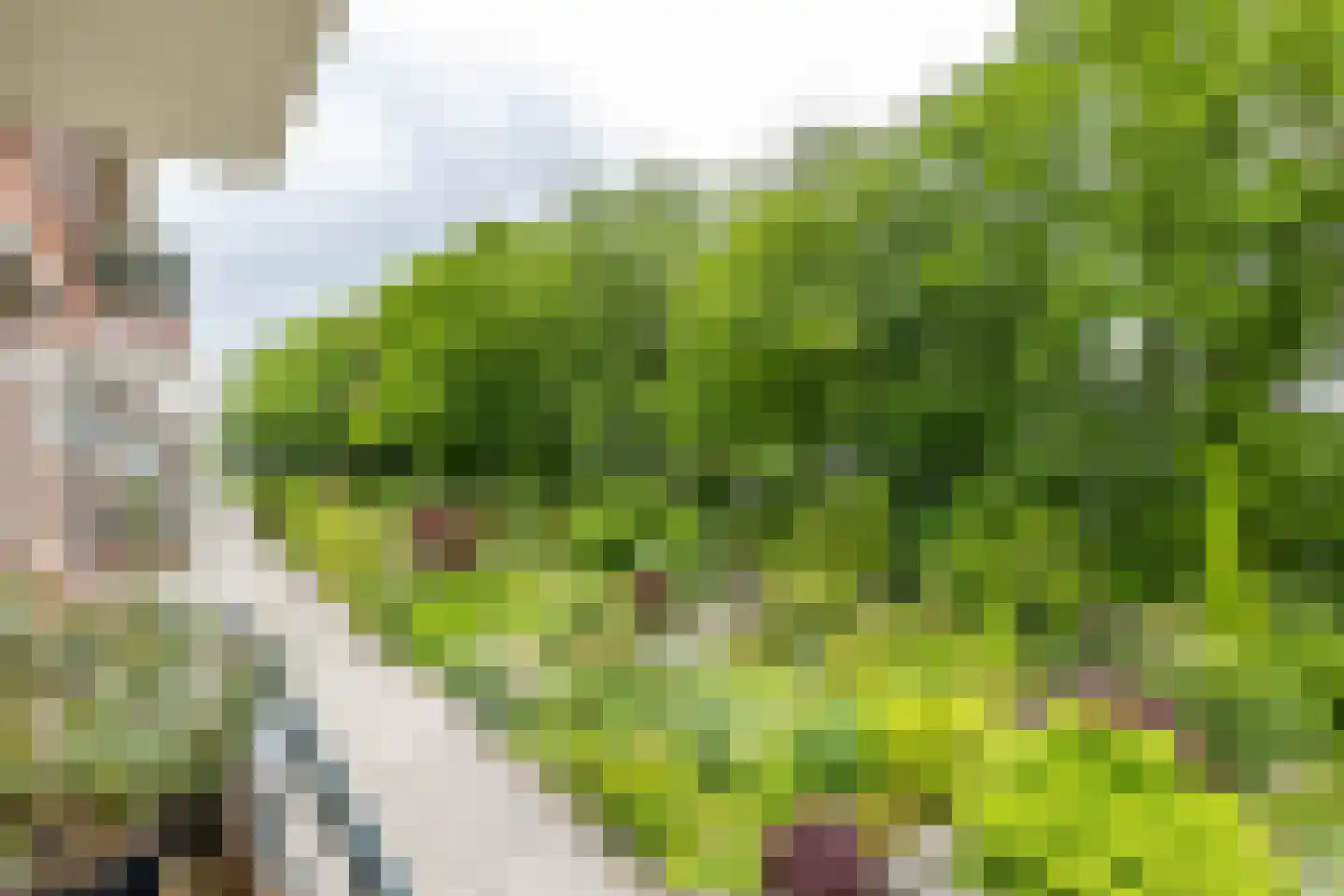 Van Ketwich Verschuurlaan 56 Groningen thumbnail 25
