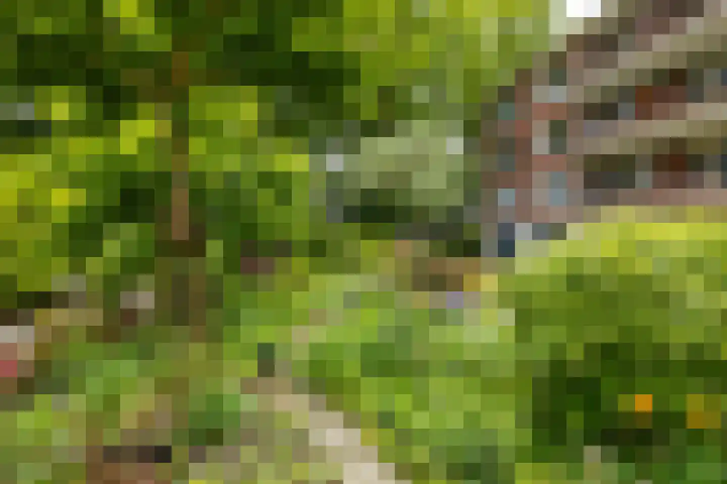 Van Ketwich Verschuurlaan 56 Groningen thumbnail 42