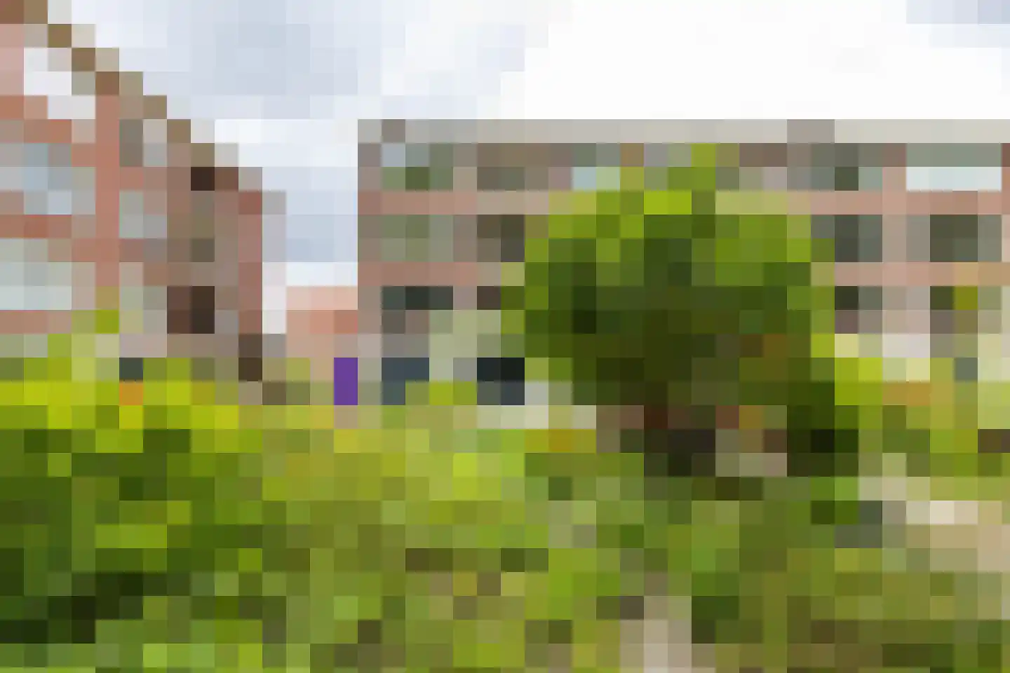 Van Ketwich Verschuurlaan 56 Groningen thumbnail 43