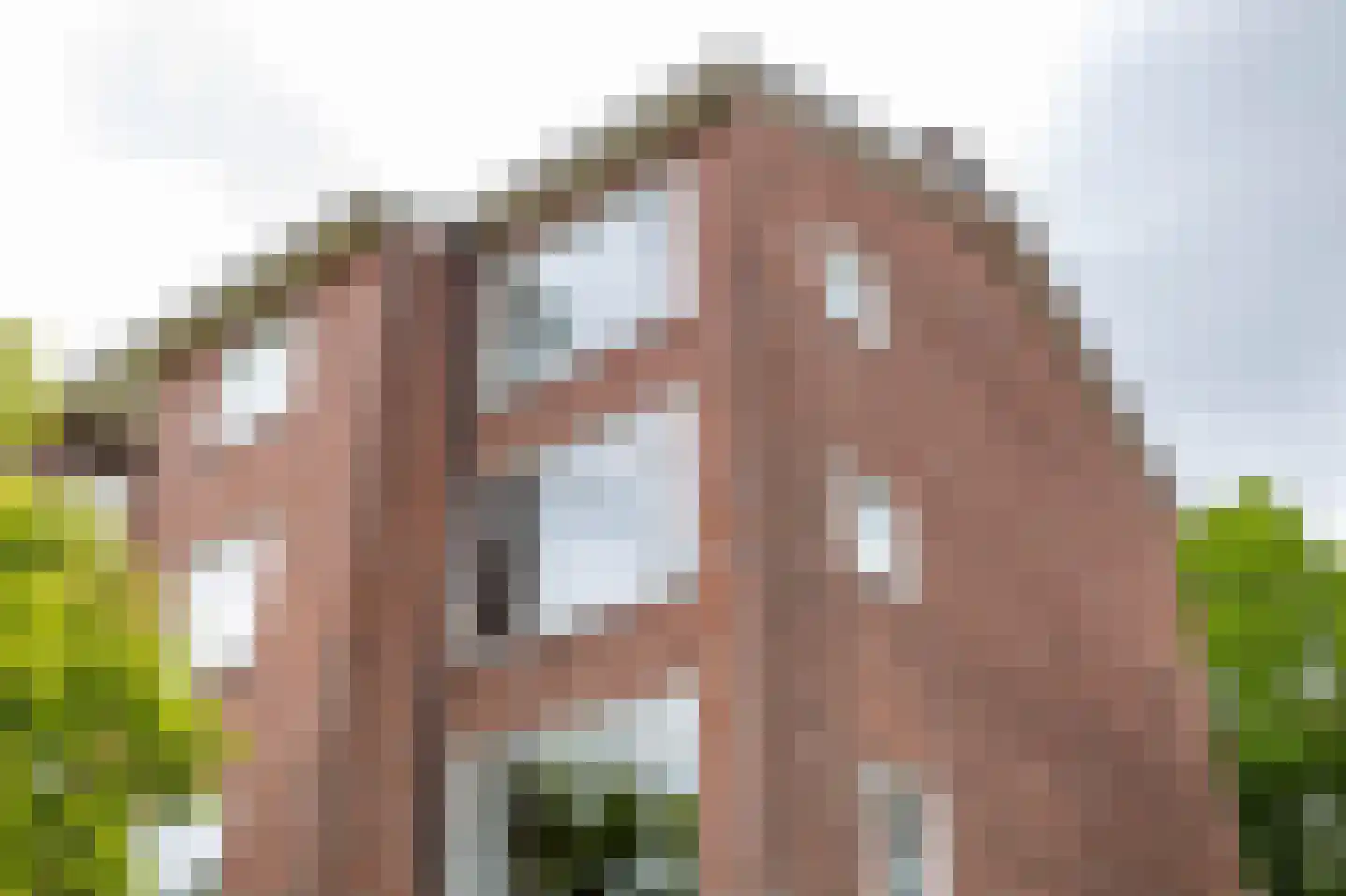 Van Ketwich Verschuurlaan 56 Groningen thumbnail 49