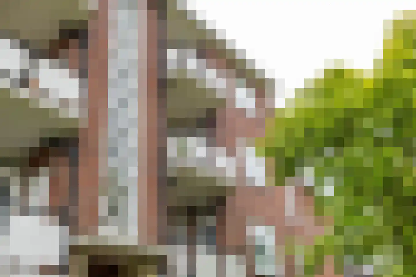 Van Ketwich Verschuurlaan 56 Groningen thumbnail 50