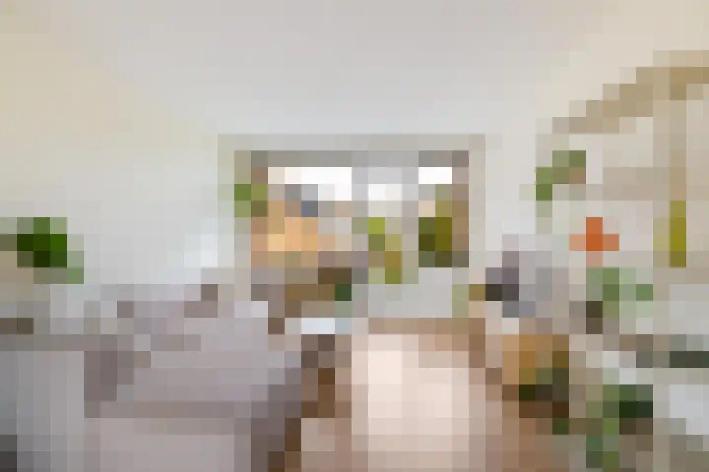 Van Ketwich Verschuurlaan 61 Groningen thumbnail 11