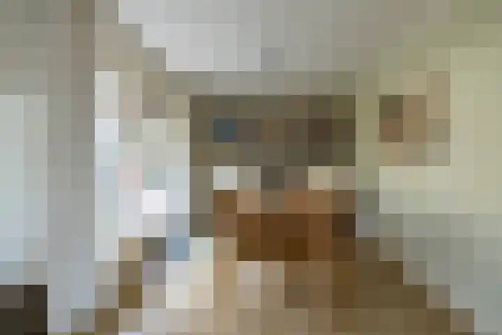 Van Ketwich Verschuurlaan 62 Groningen thumbnail 17