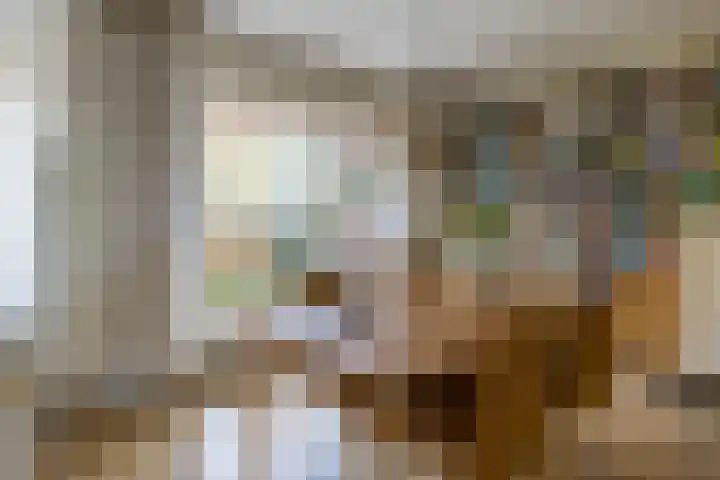 Van Ketwich Verschuurlaan 62 Groningen thumbnail 19