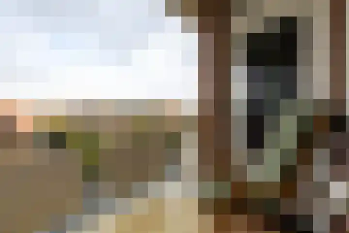 Van Ketwich Verschuurlaan 62 Groningen thumbnail 38