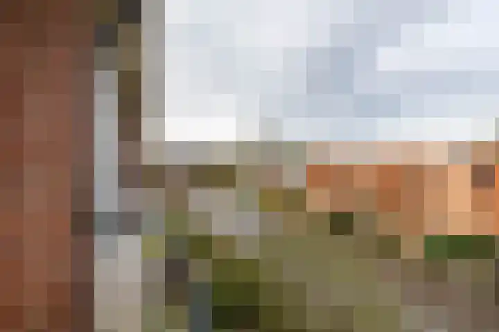 Van Ketwich Verschuurlaan 62 Groningen thumbnail 39