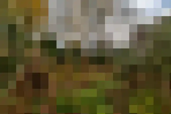 Van Ketwich Verschuurlaan 62 Groningen thumbnail 4