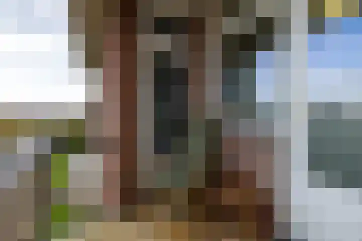 Van Ketwich Verschuurlaan 62 Groningen thumbnail 40
