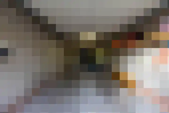 Van Ketwich Verschuurlaan 62 Groningen thumbnail 47