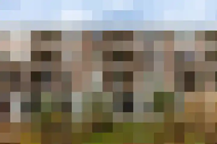 Van Ketwich Verschuurlaan 62 Groningen thumbnail 48