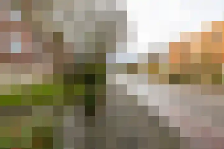 Van Ketwich Verschuurlaan 62 Groningen thumbnail 6