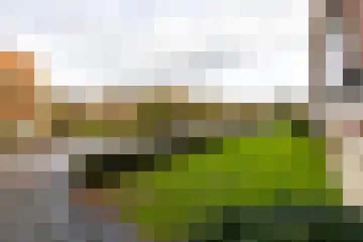 Van Ketwich Verschuurlaan 62 Groningen thumbnail 7