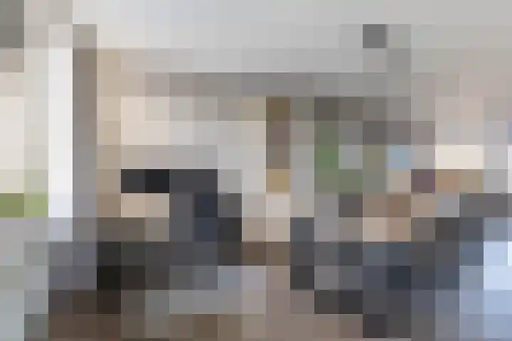 Van Ketwich Verschuurlaan 69 Groningen thumbnail 13