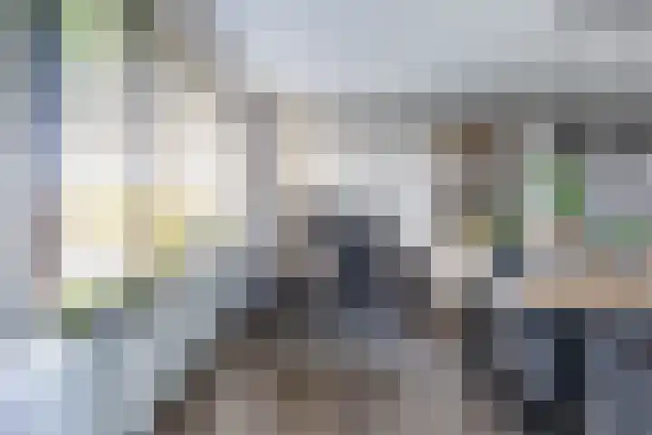 Van Ketwich Verschuurlaan 69 Groningen thumbnail 14