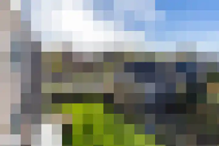 Van Ketwich Verschuurlaan 69 Groningen thumbnail 28