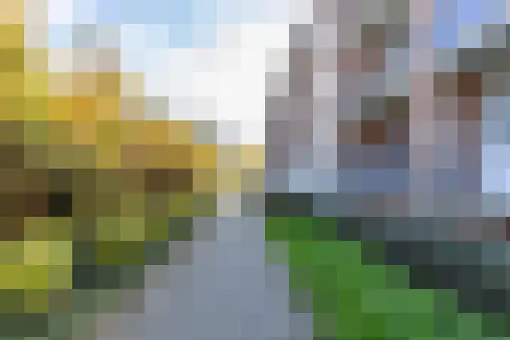 Van Ketwich Verschuurlaan 69 Groningen thumbnail 32