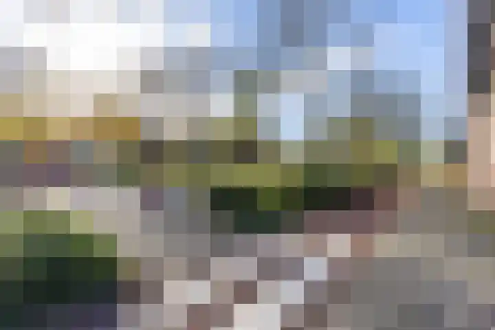 Van Ketwich Verschuurlaan 69 Groningen thumbnail 33