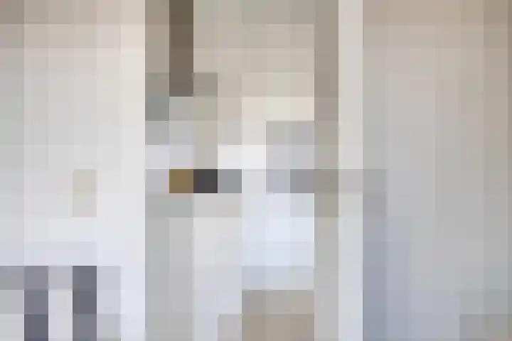 Van Ketwich Verschuurlaan 77 Groningen thumbnail 26
