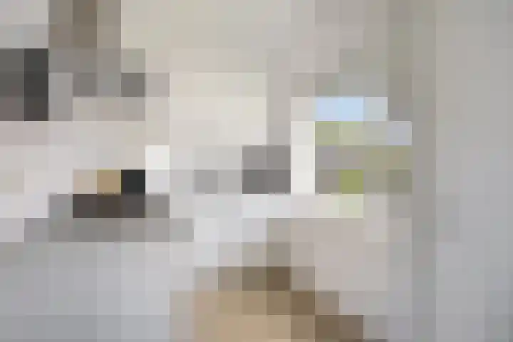 Van Ketwich Verschuurlaan 77 Groningen thumbnail 27