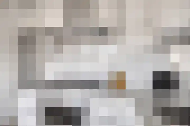 Van Ketwich Verschuurlaan 77 Groningen thumbnail 28