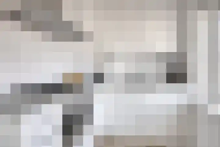 Van Ketwich Verschuurlaan 77 Groningen thumbnail 4