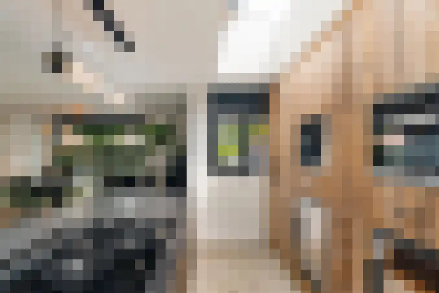 Van Keulendreef 11 Bergschenhoek thumbnail 21
