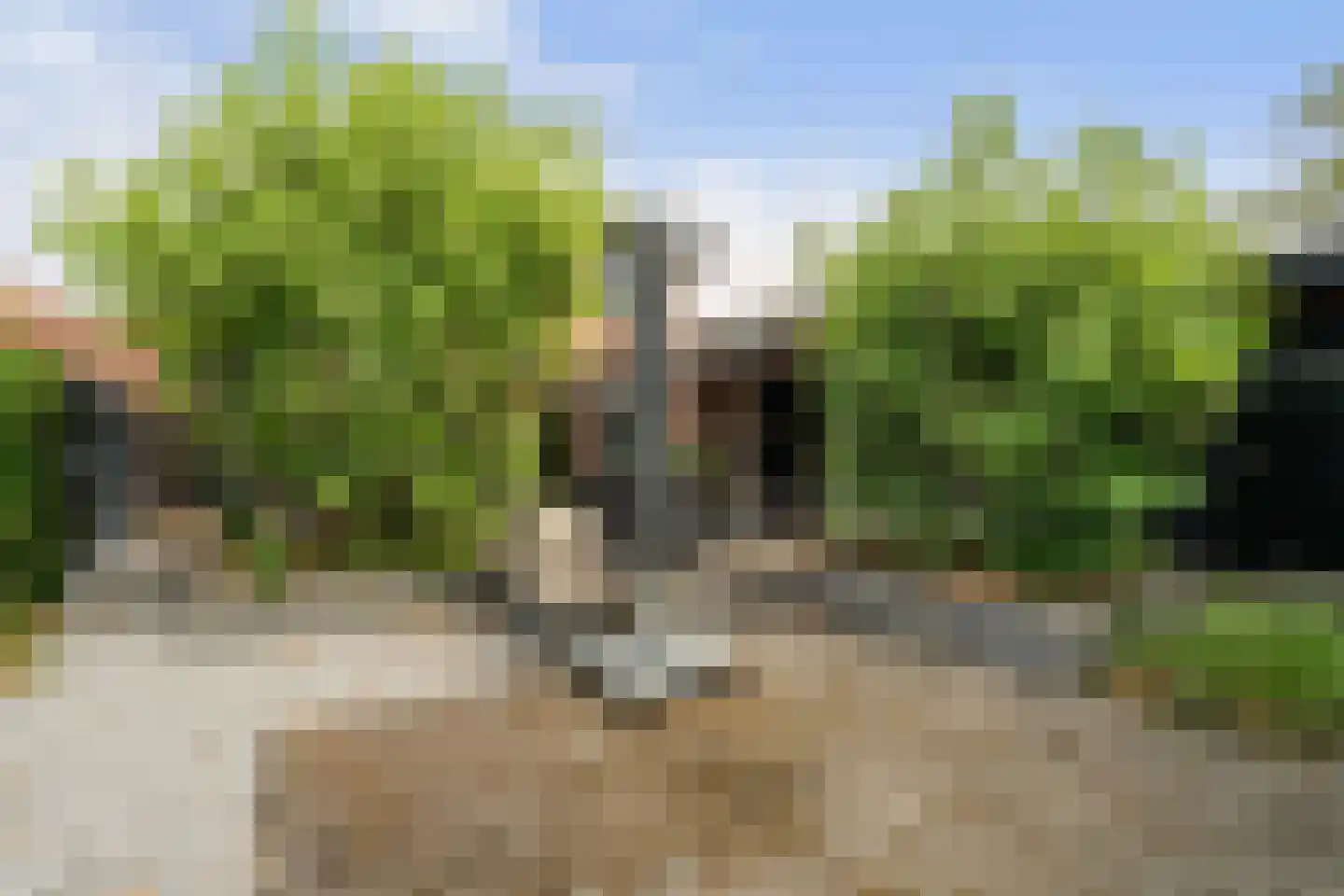 Van Keulendreef 11 Bergschenhoek thumbnail 28