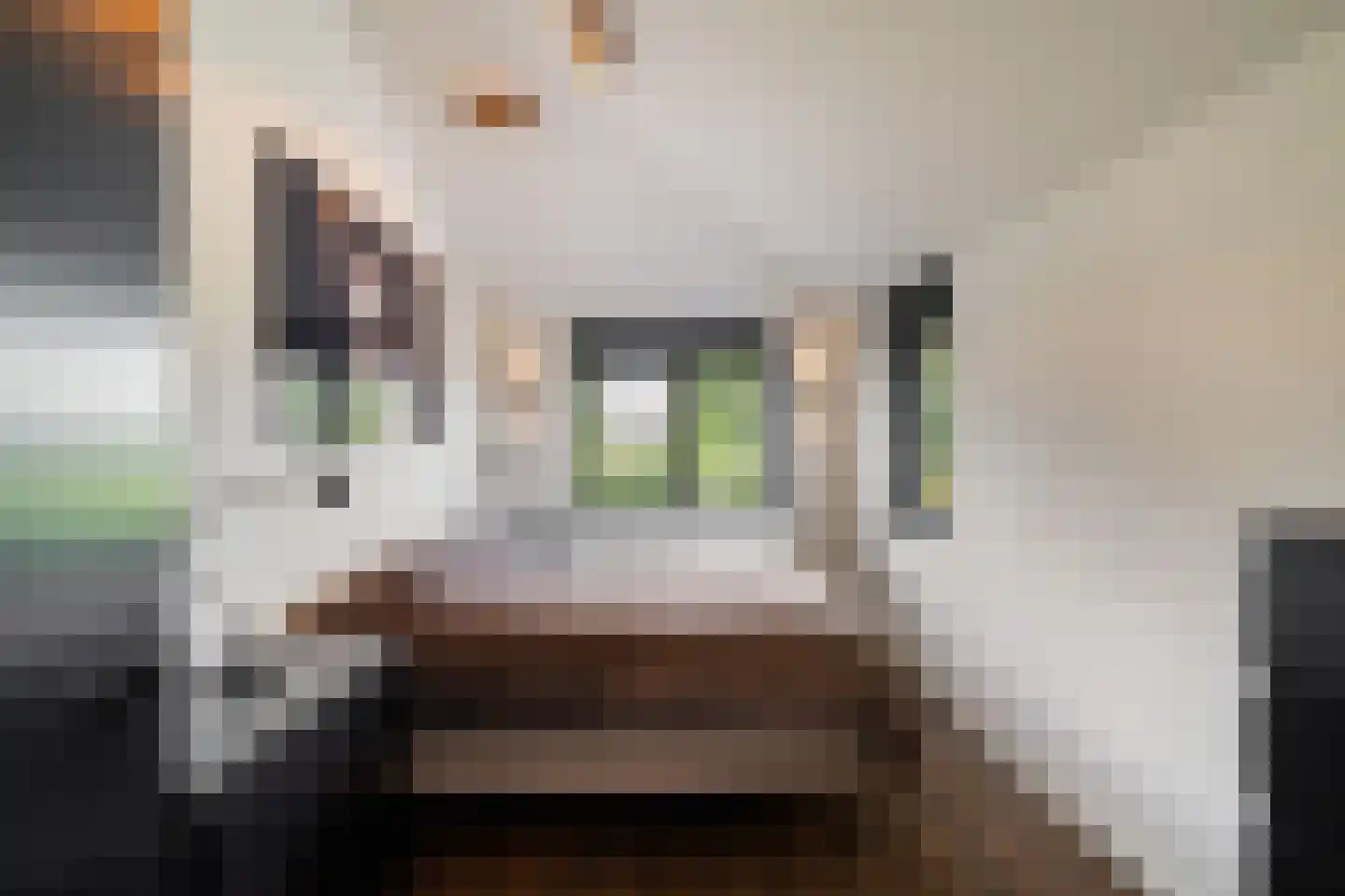Van Keulendreef 11 Bergschenhoek thumbnail 35