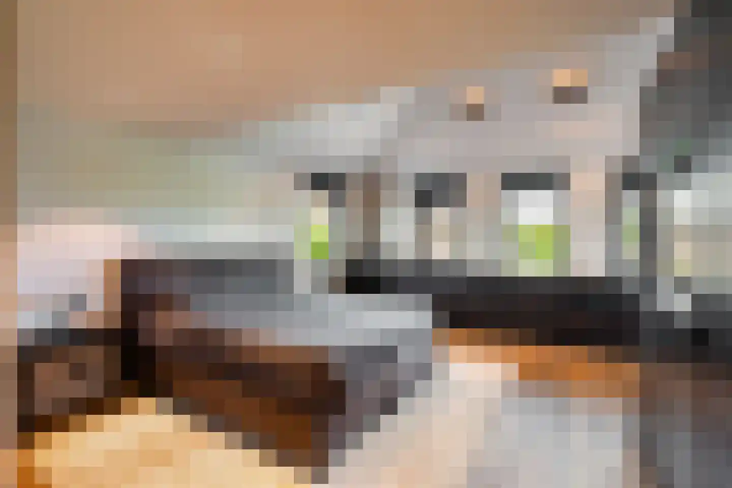 Van Keulendreef 11 Bergschenhoek thumbnail 37