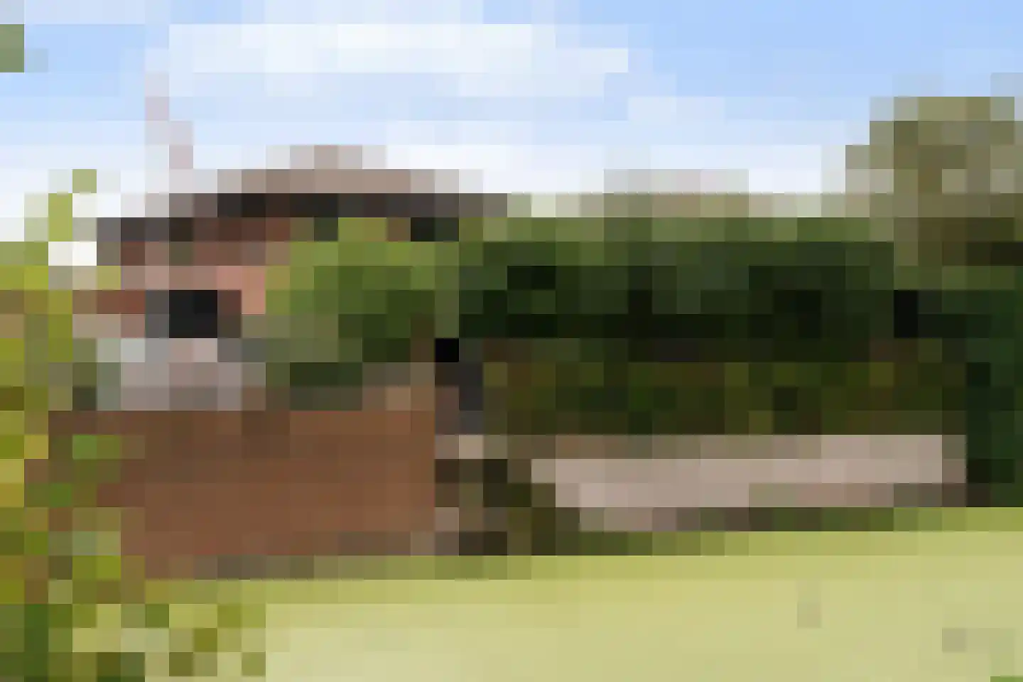 Van Keulendreef 11 Bergschenhoek thumbnail 44