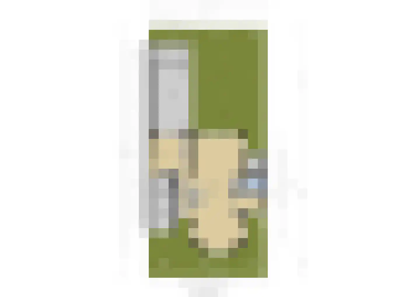 Van Keulendreef 11 Bergschenhoek thumbnail 45