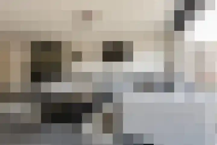 Van Keulendreef 18 Bergschenhoek thumbnail 12